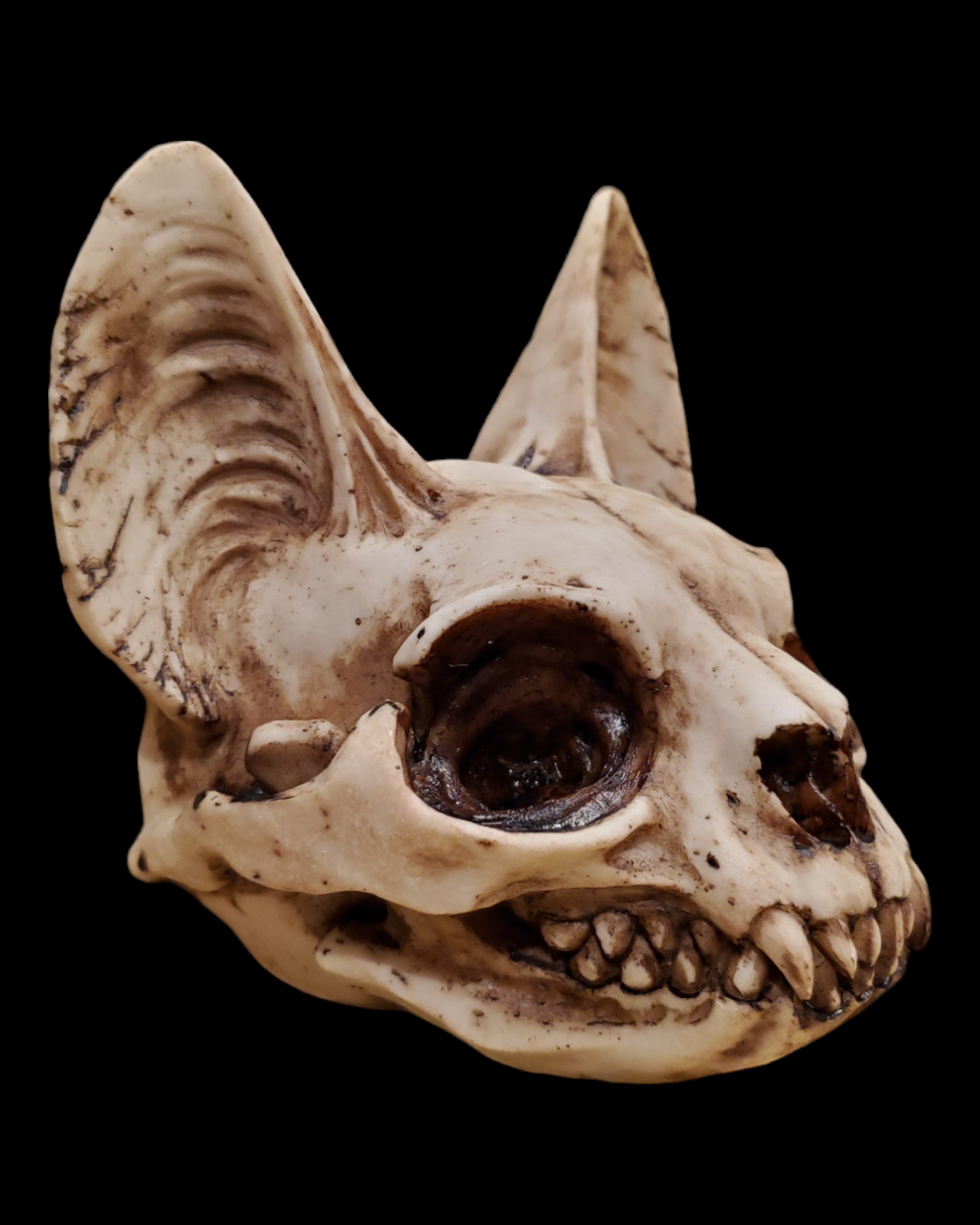 Bastet Skull