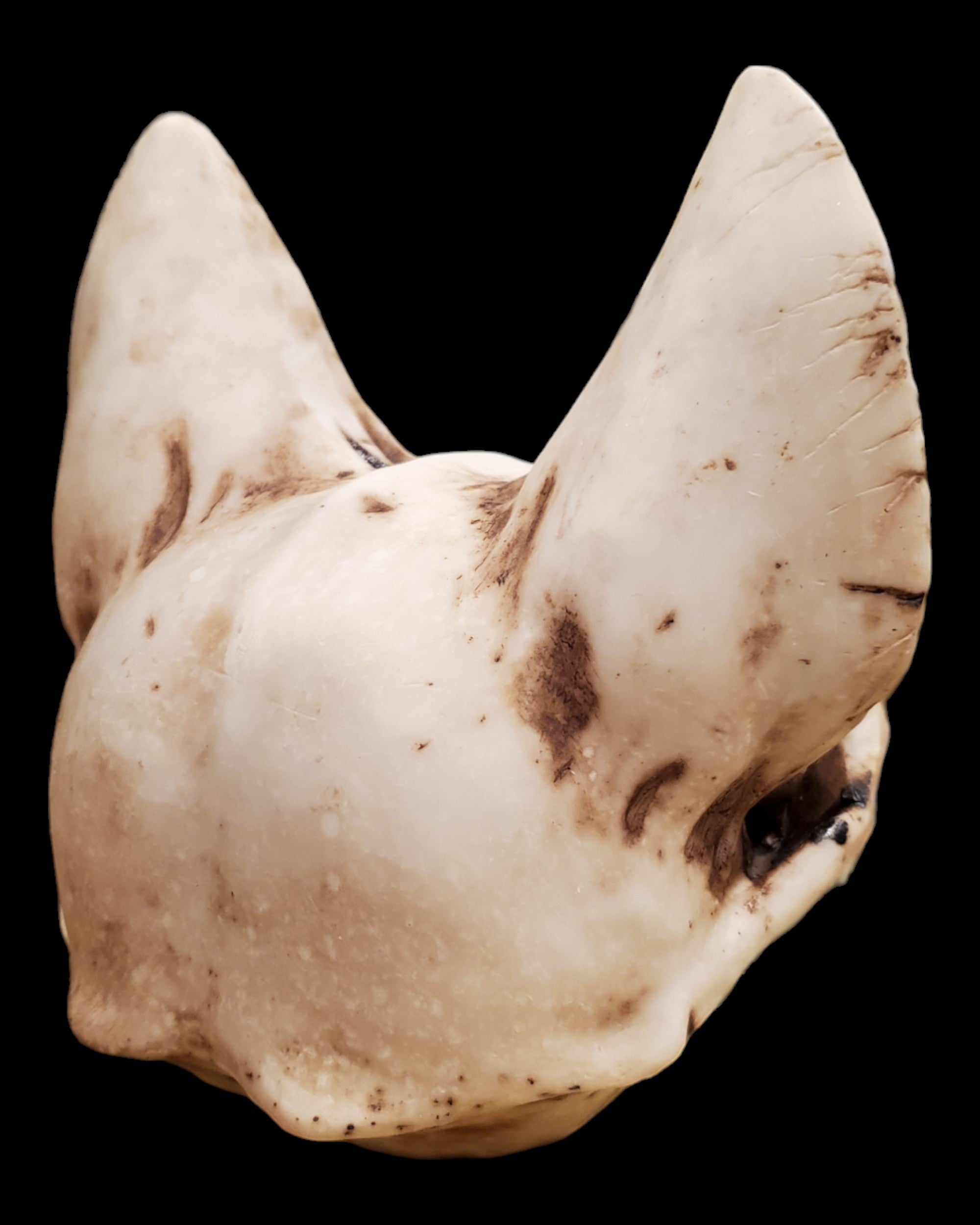 Bastet Skull