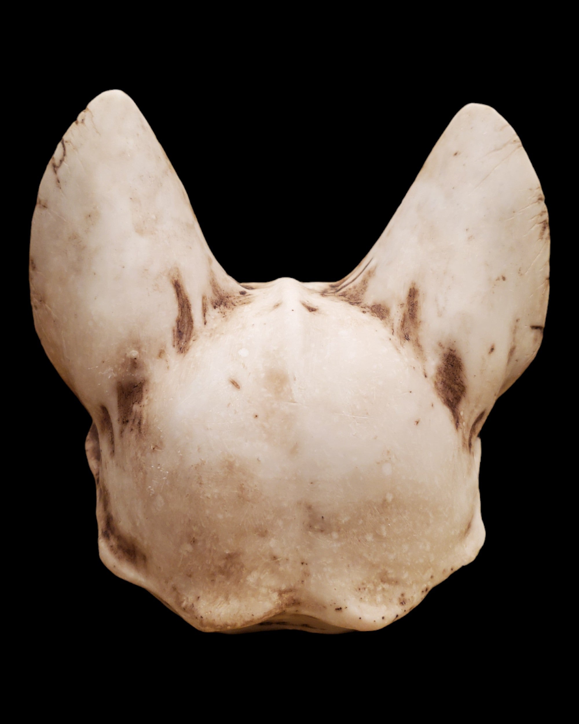 Bastet Skull