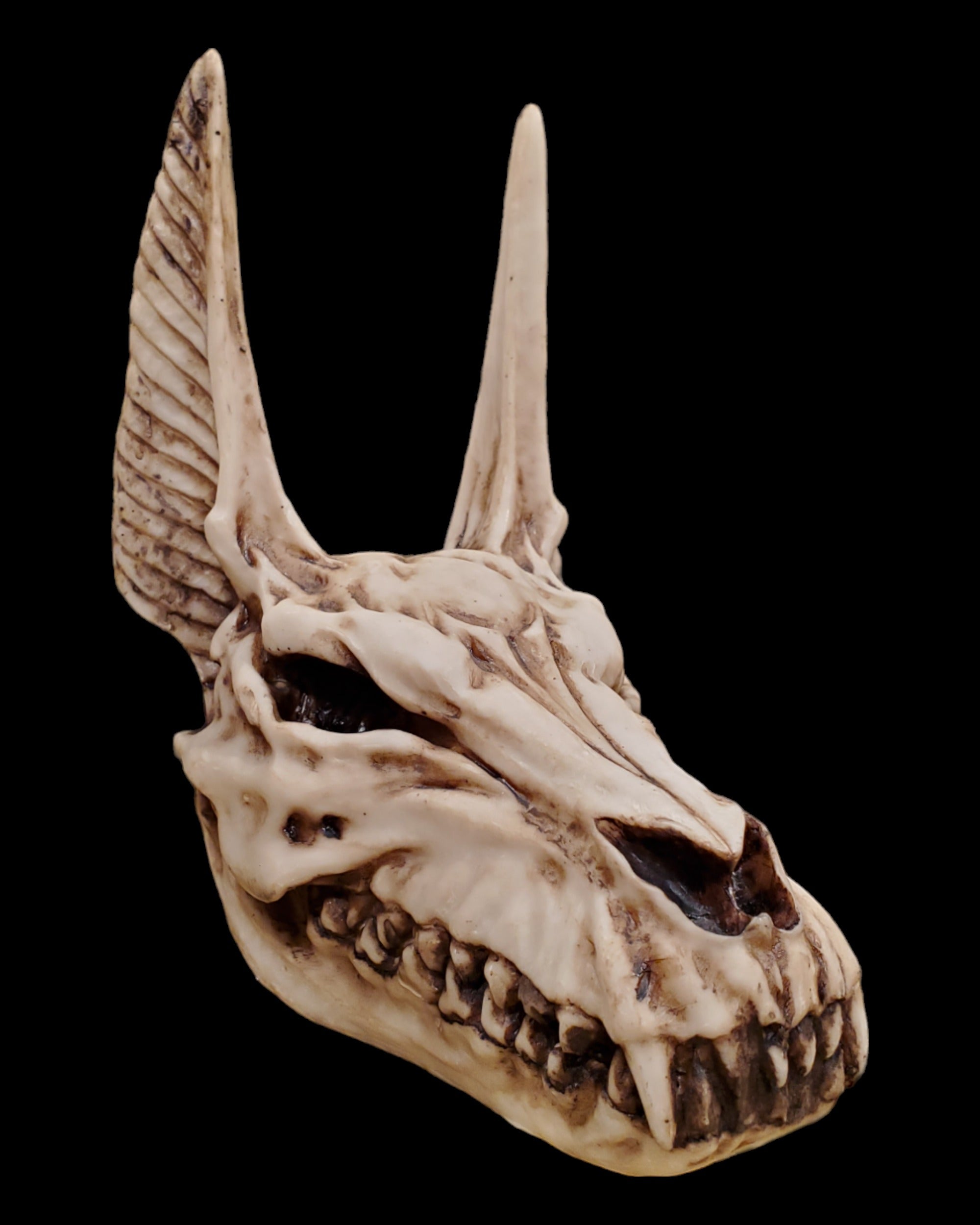 Anubis Skull