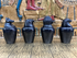 Canopic Jars - Set of 4