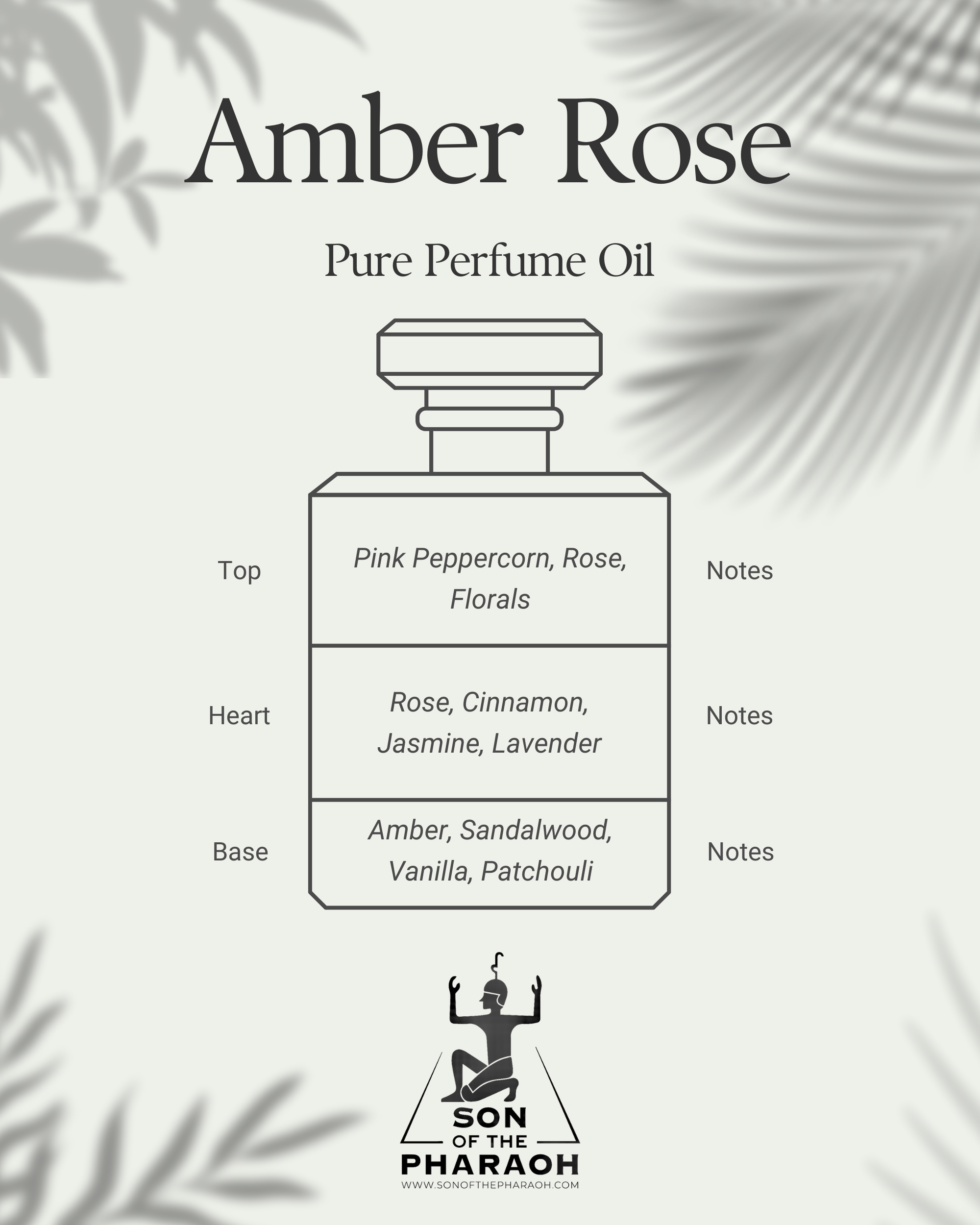 Amber Rose Perfume Oil