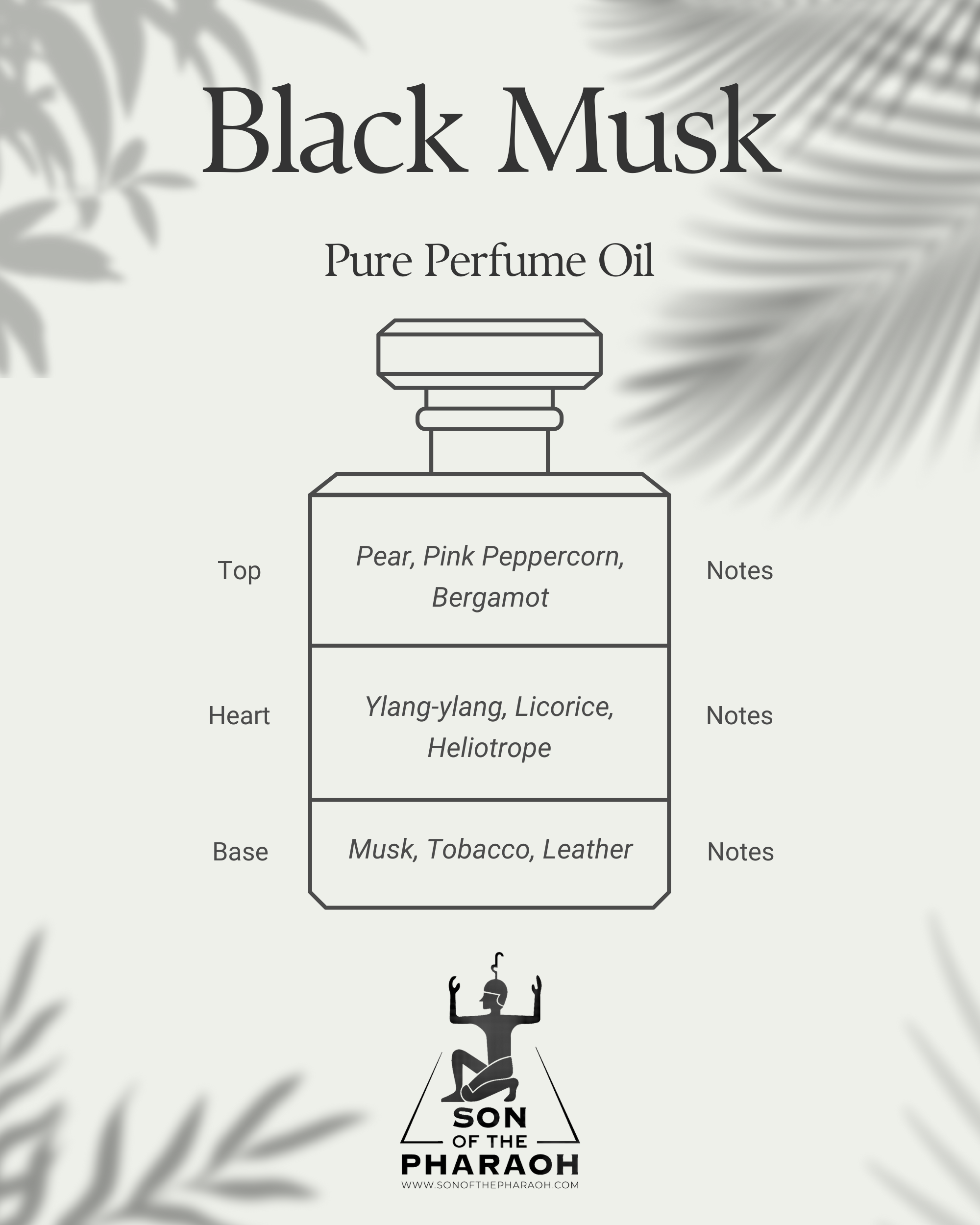 Black Musk Perfume Oil