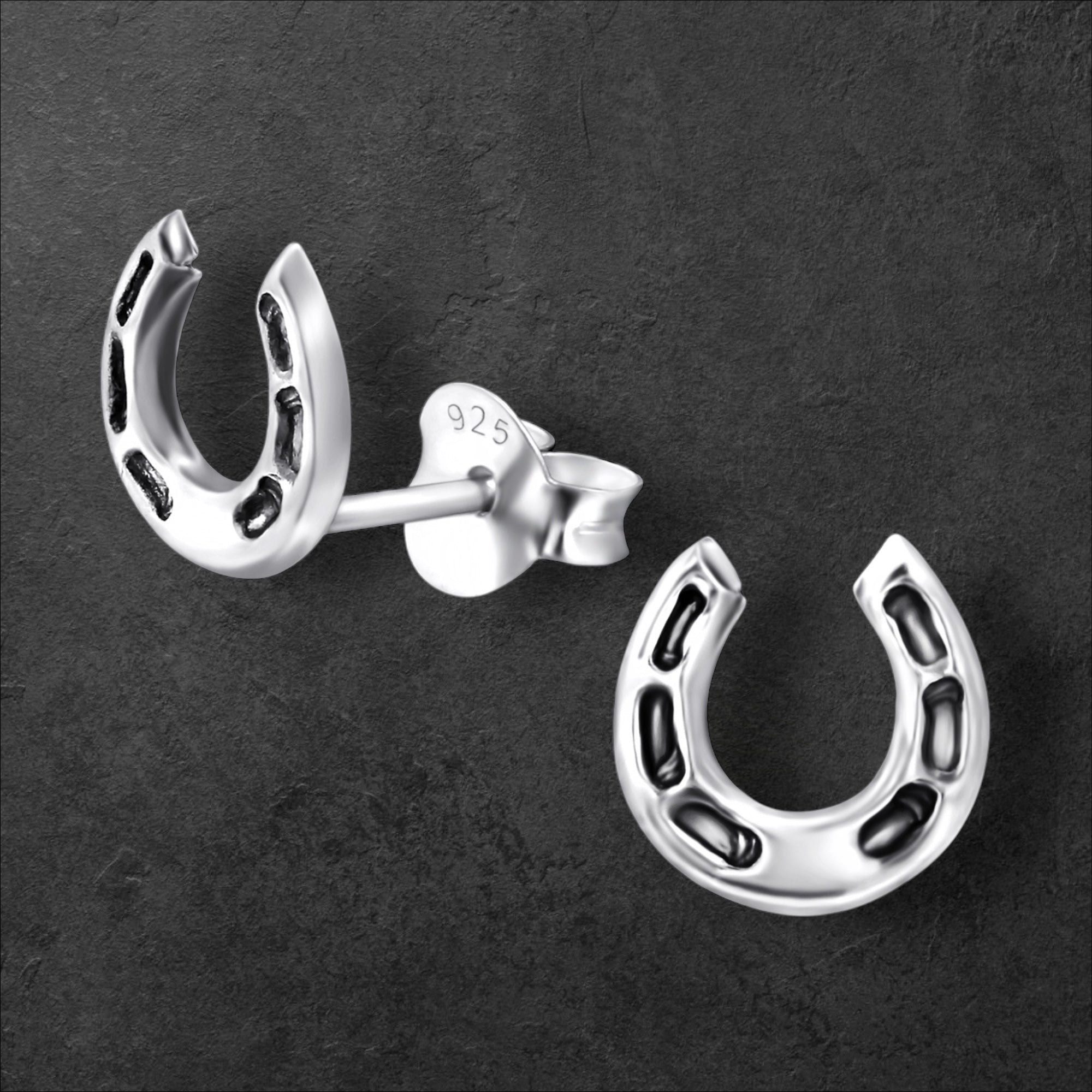Horseshoe Earrings