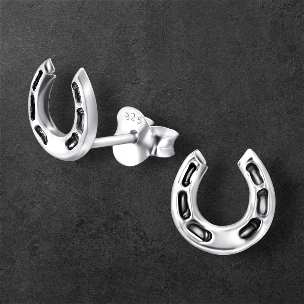 Horseshoe Earrings