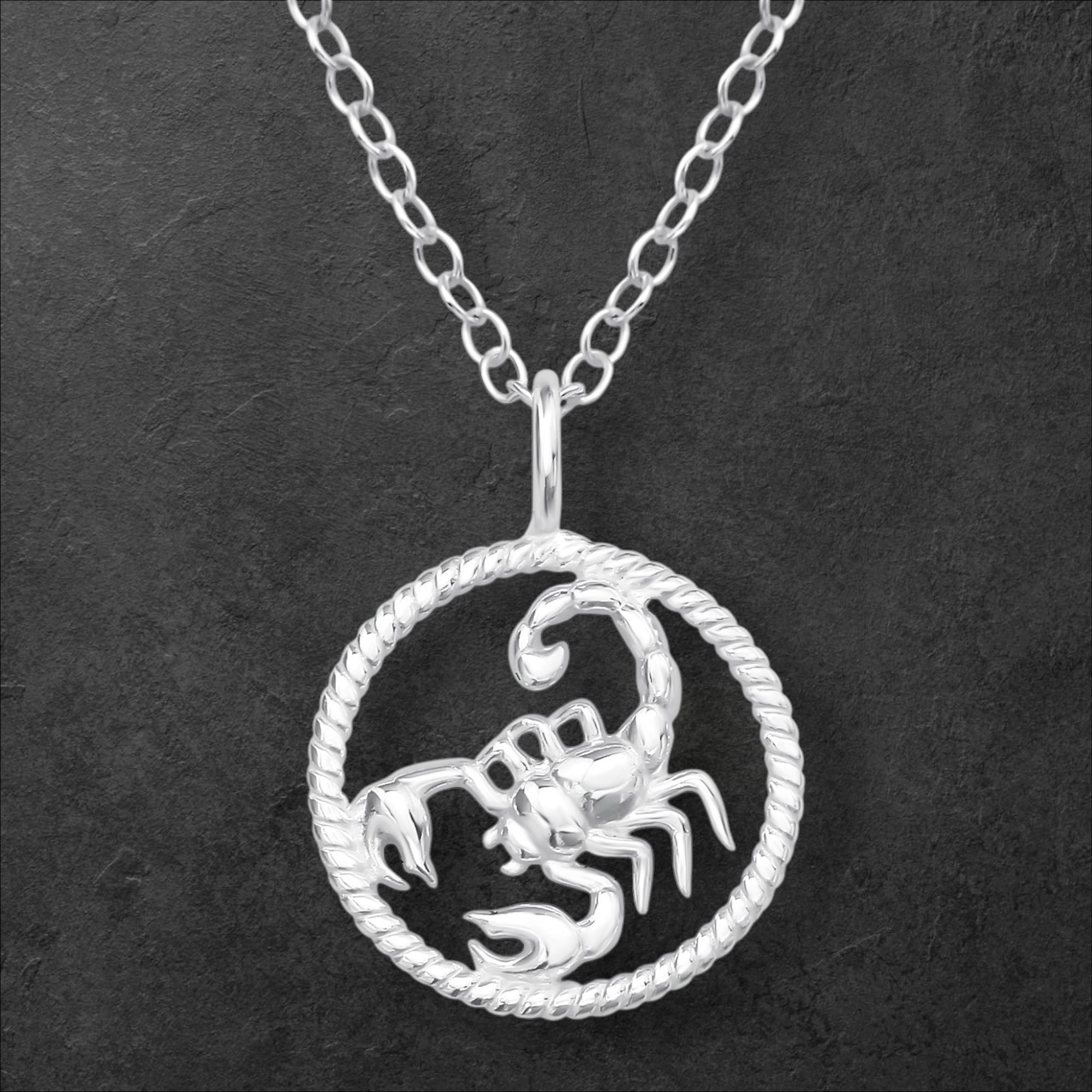 Scorpion Necklace