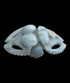 Scarab Beetle - Handcarved Soapstone