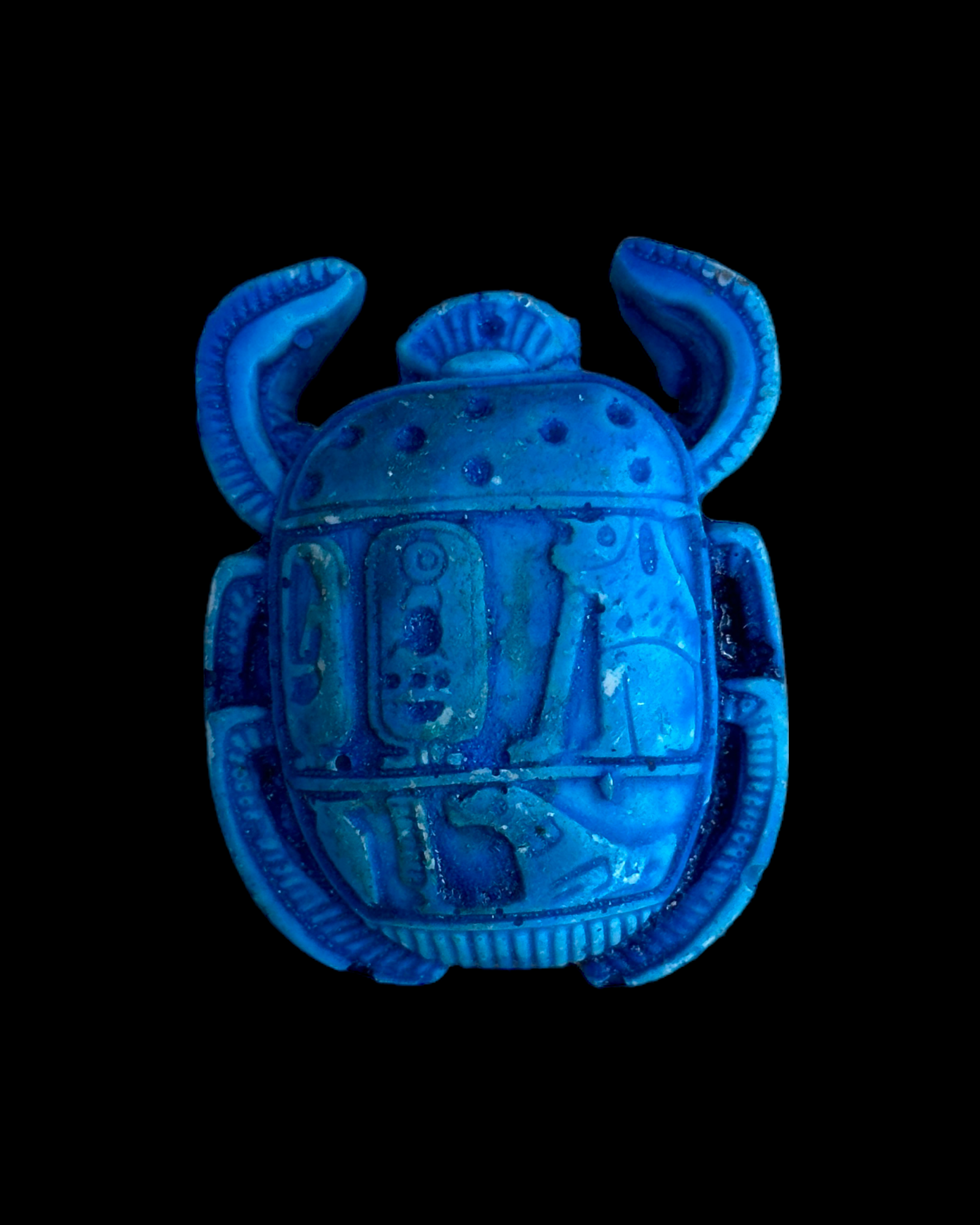 Scarab Beetle