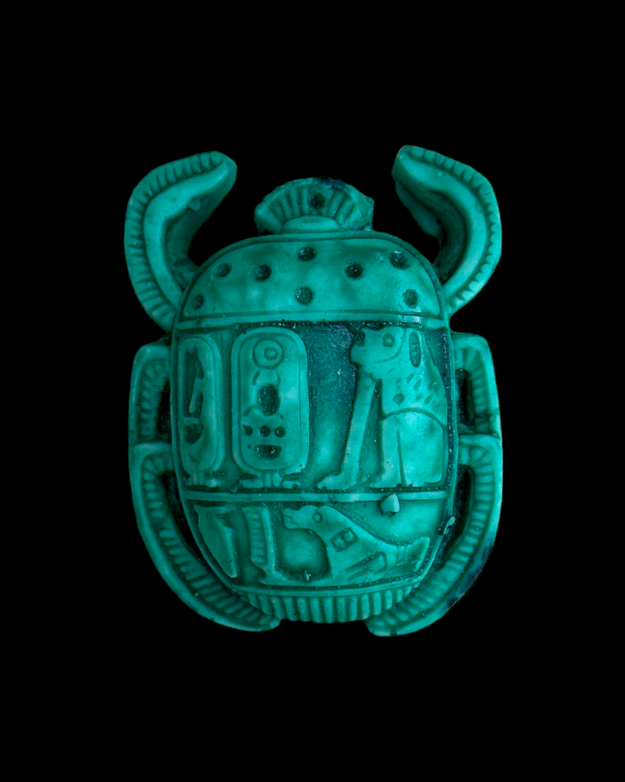 Scarab Beetle