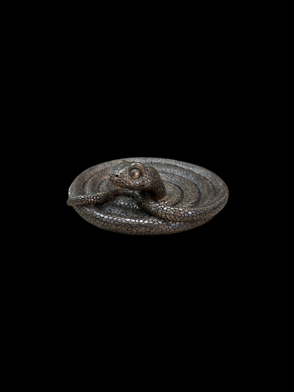 Coiling Snake Plate
