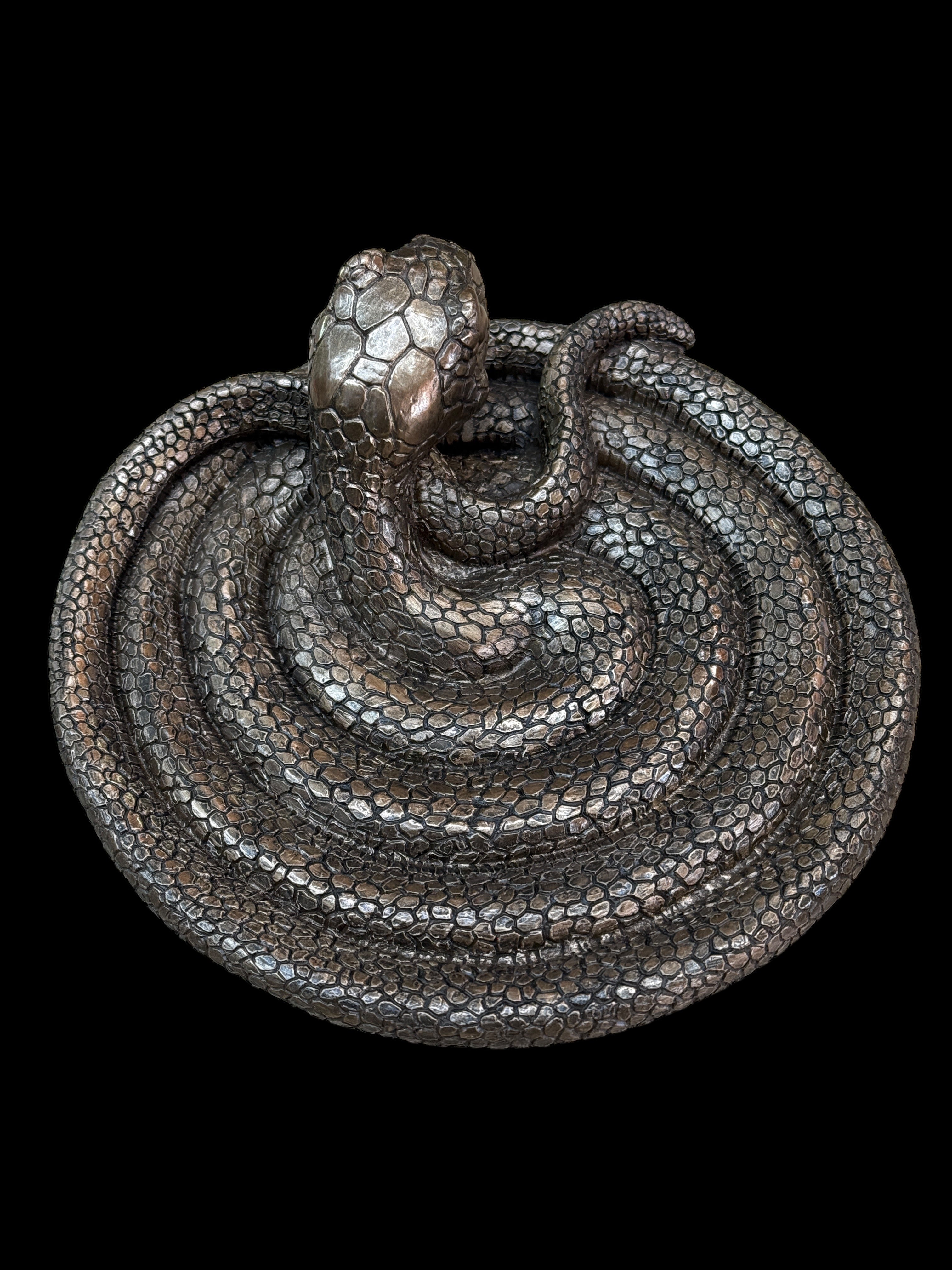 Coiling Snake Plate