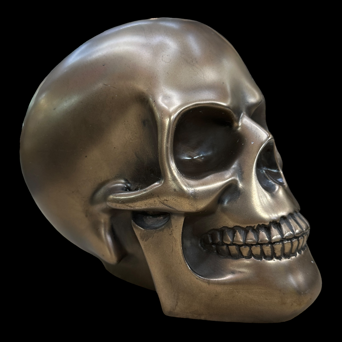 Bronze Skull