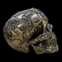 Bronze Coat of Arms Skull