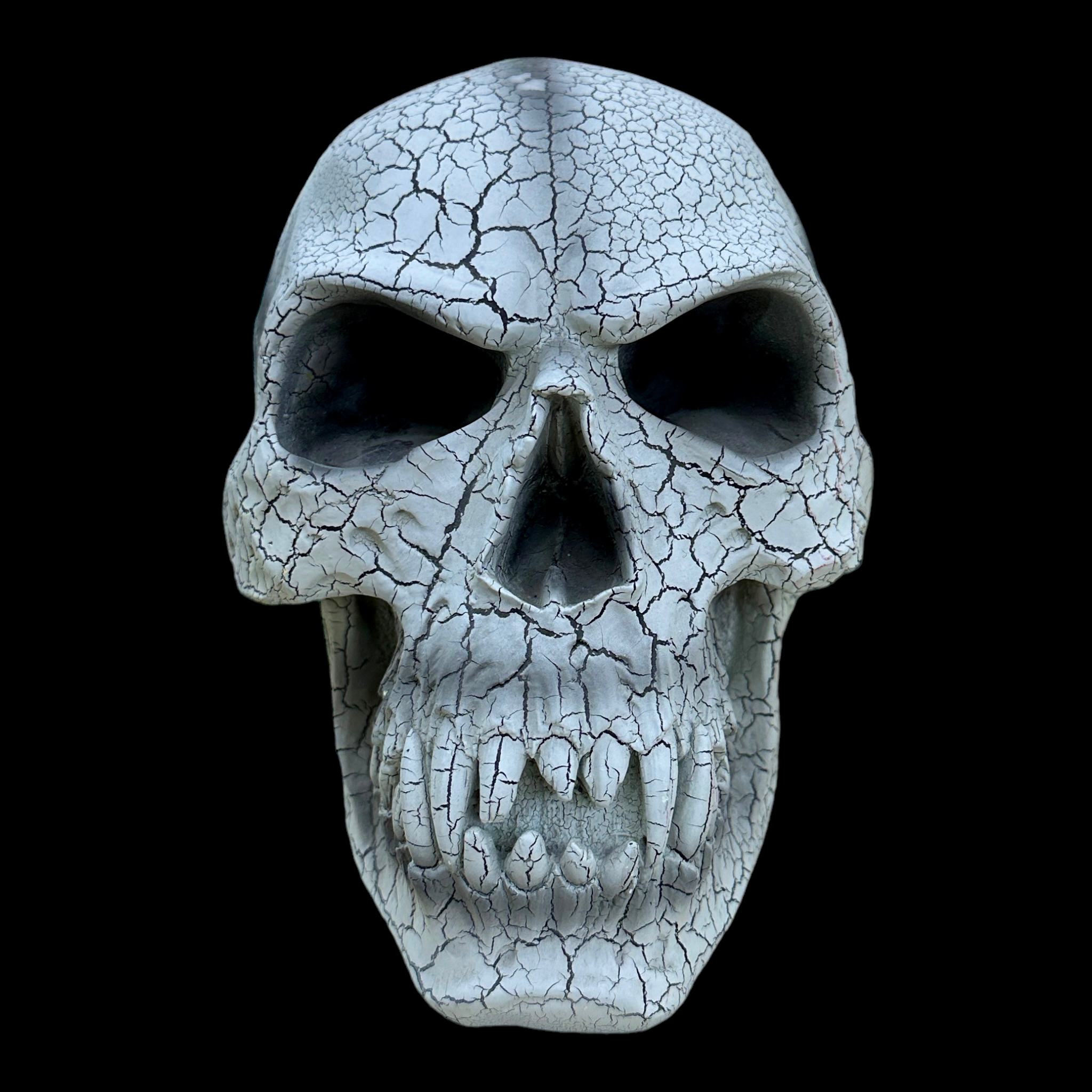 Vampire Skull