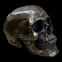 Bronze Skull