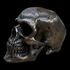 Bronze Skull