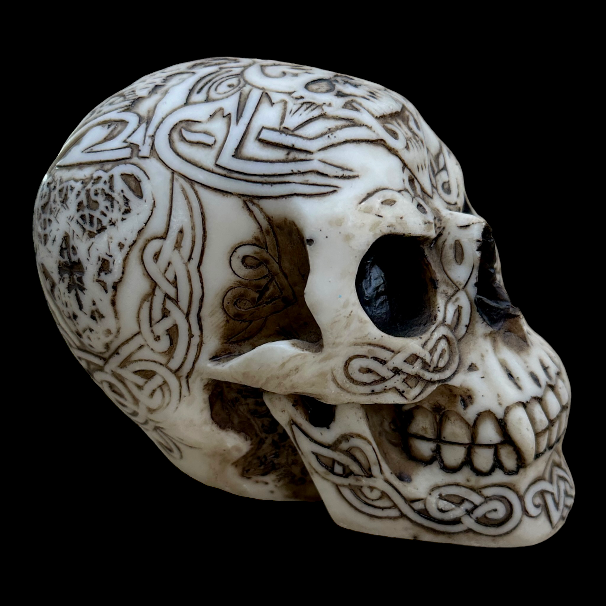 Celtic Skull