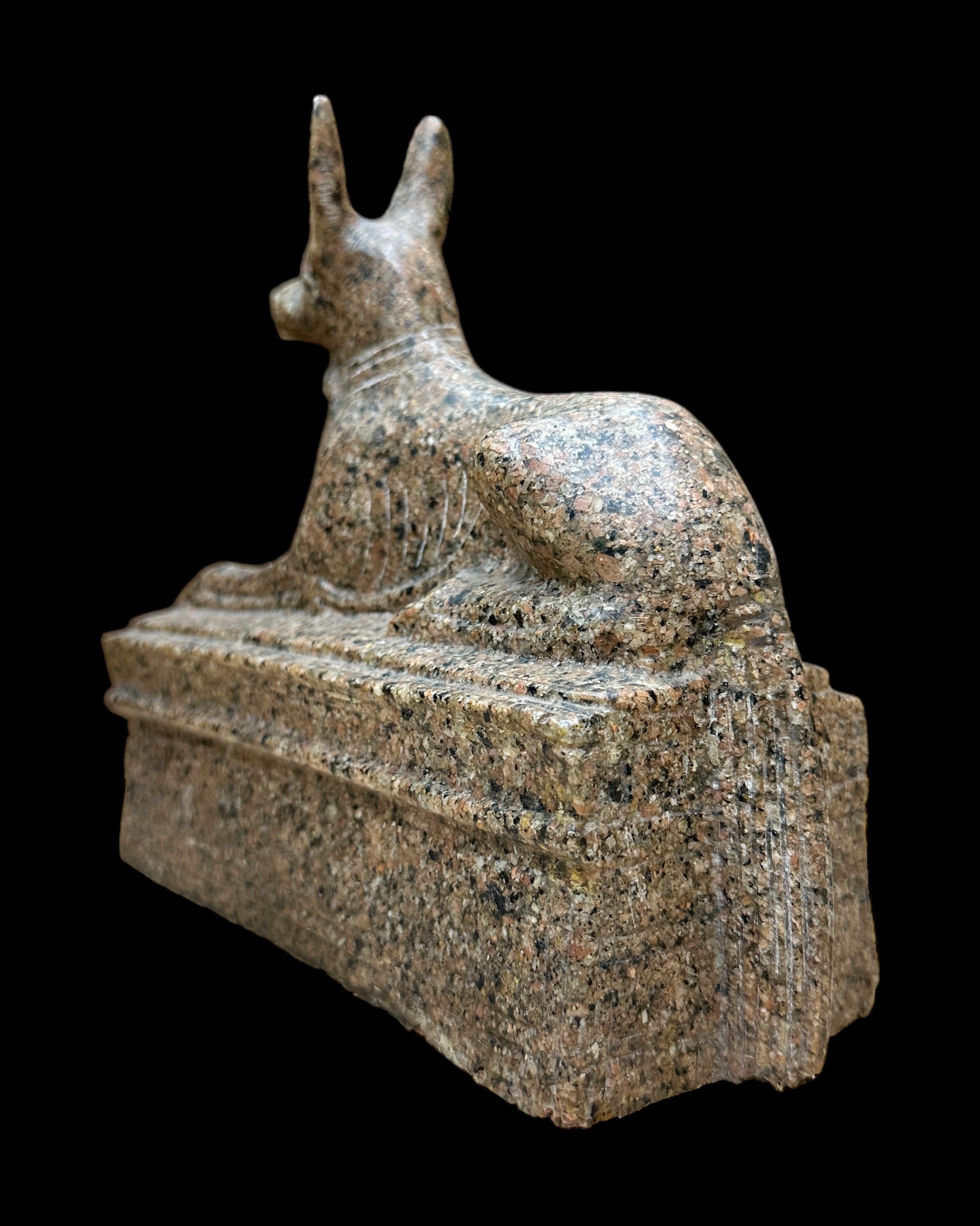 Anubis on Shrine Statue