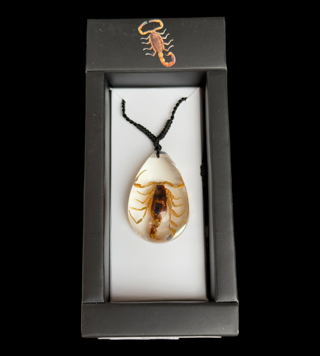 Scorpion Necklace