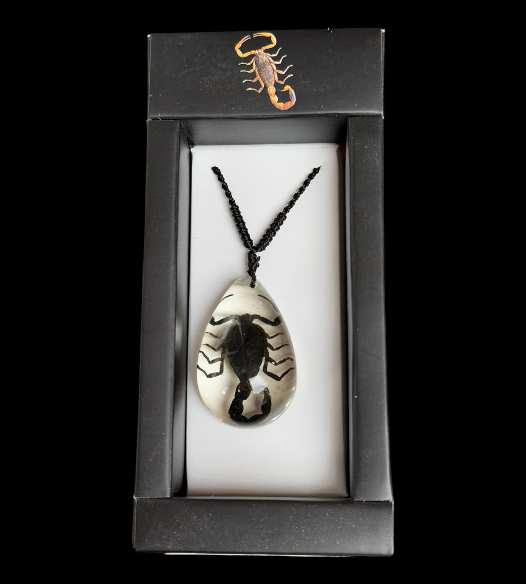 Black Scorpion Necklace