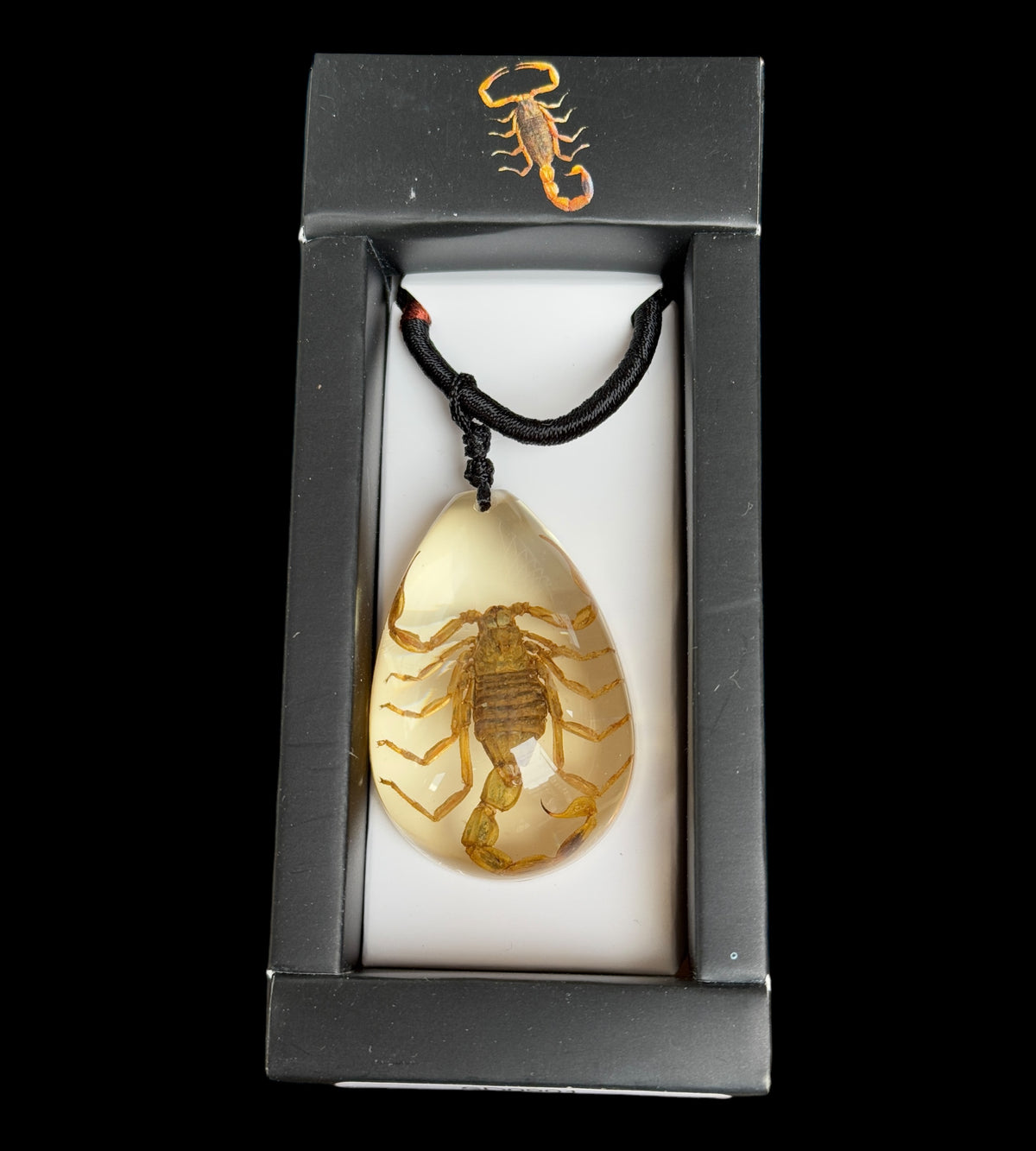 Scorpion Necklace