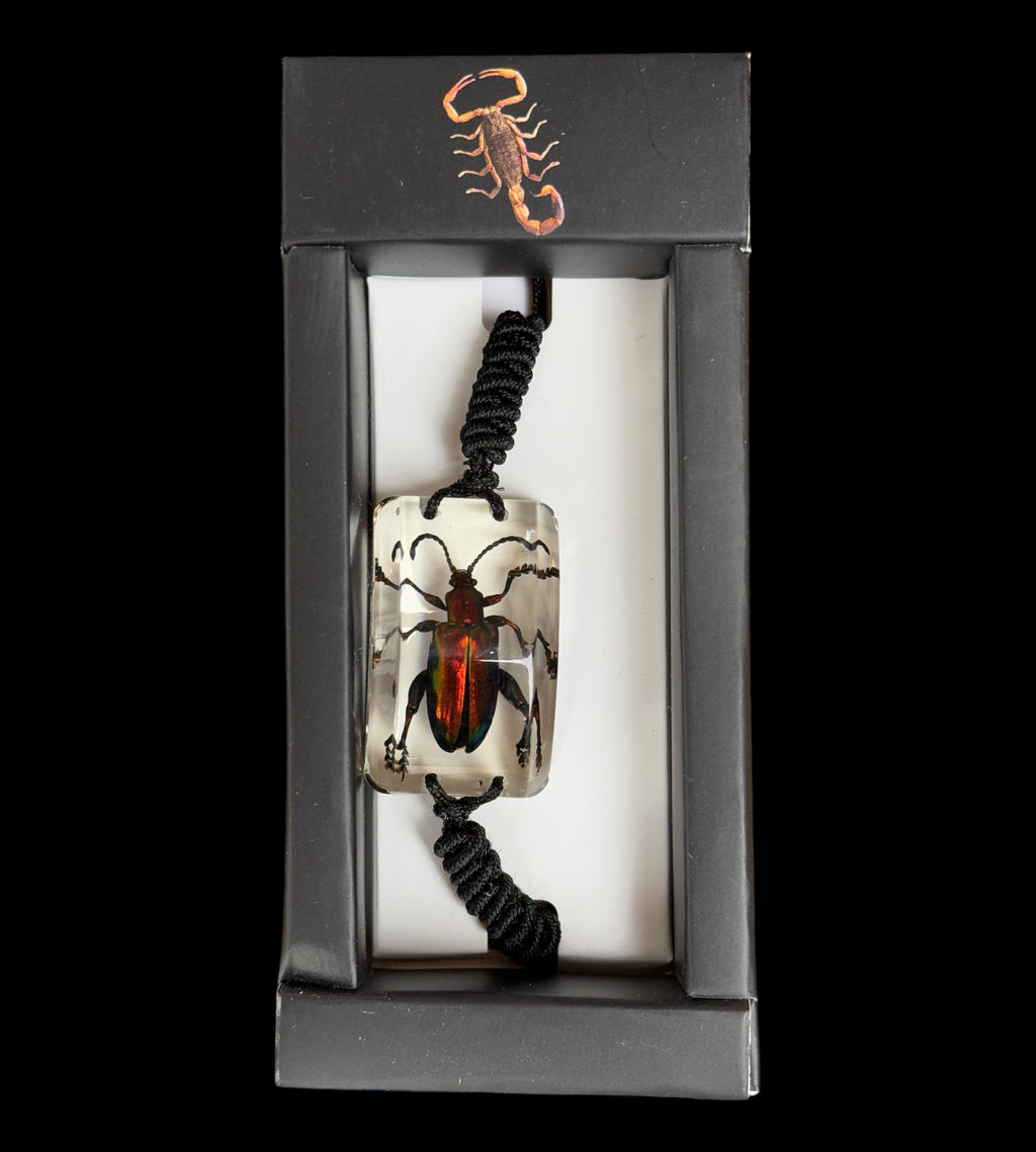 Jewel Frog Beetle Bracelet