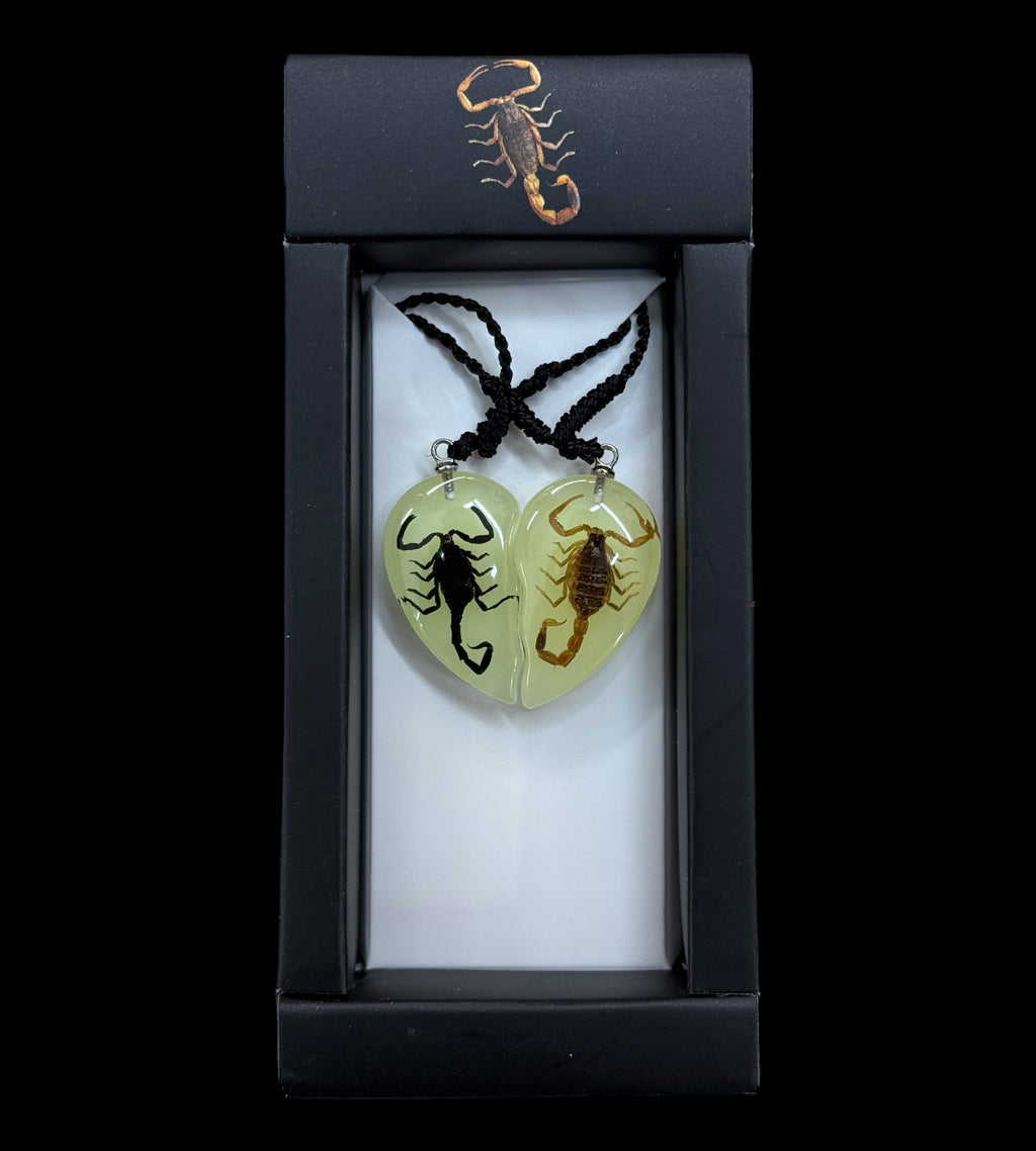 Scorpion Yin Yang Glow Necklace Set