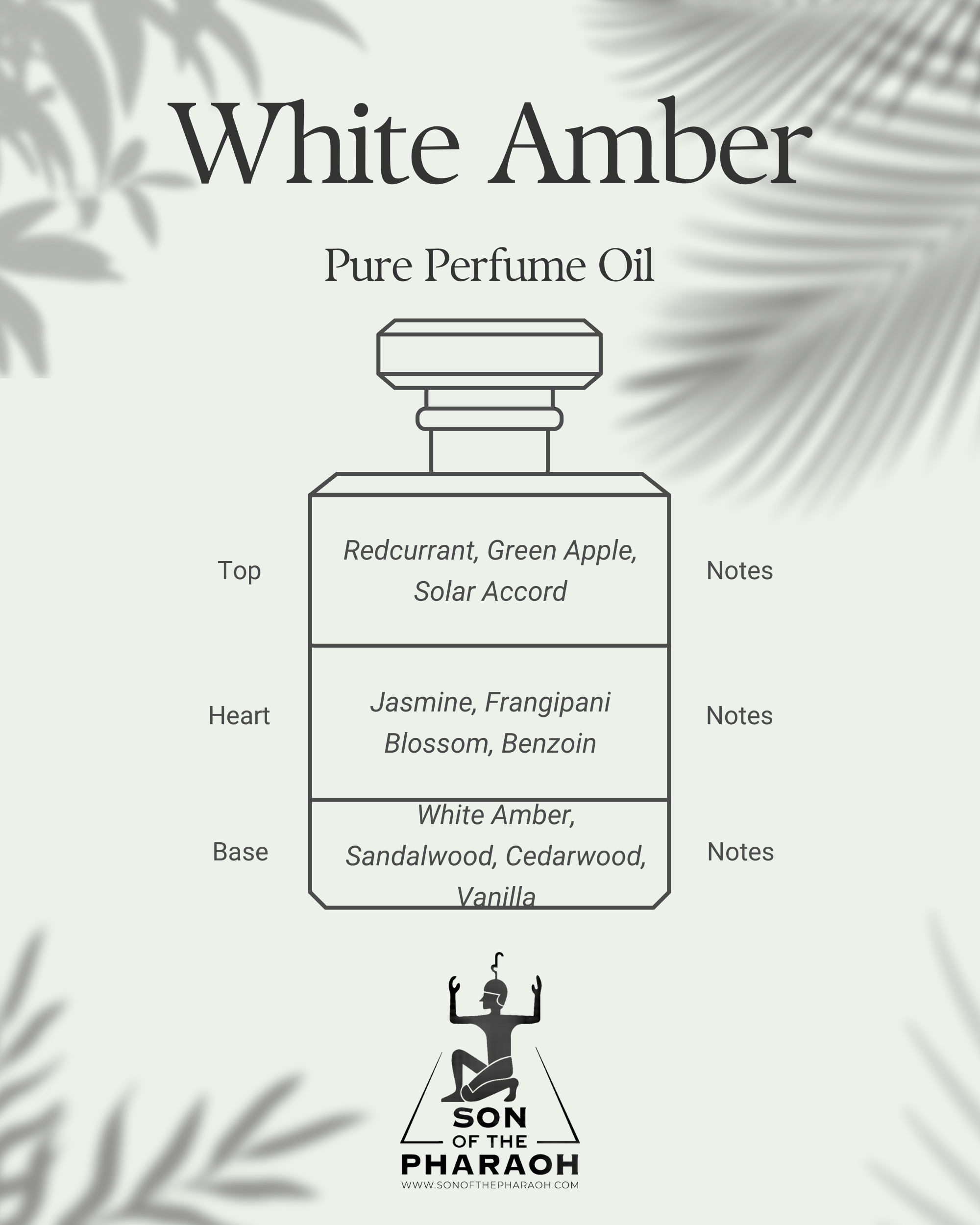 White Amber Perfume Oil