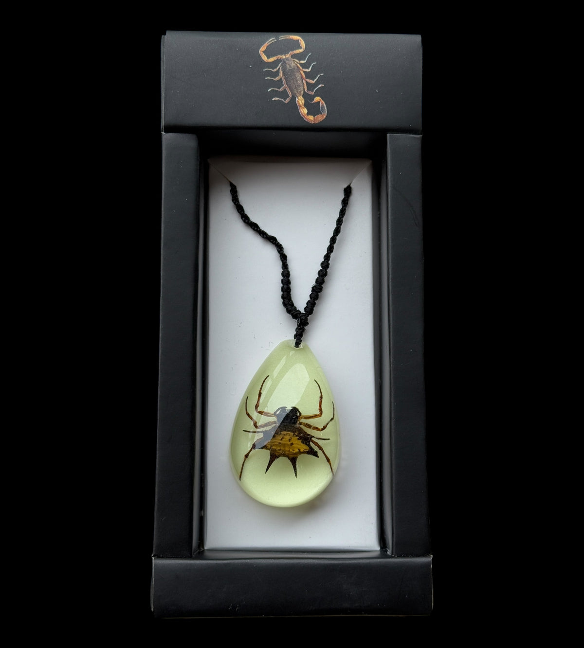 Spiny Spider Glow Necklace