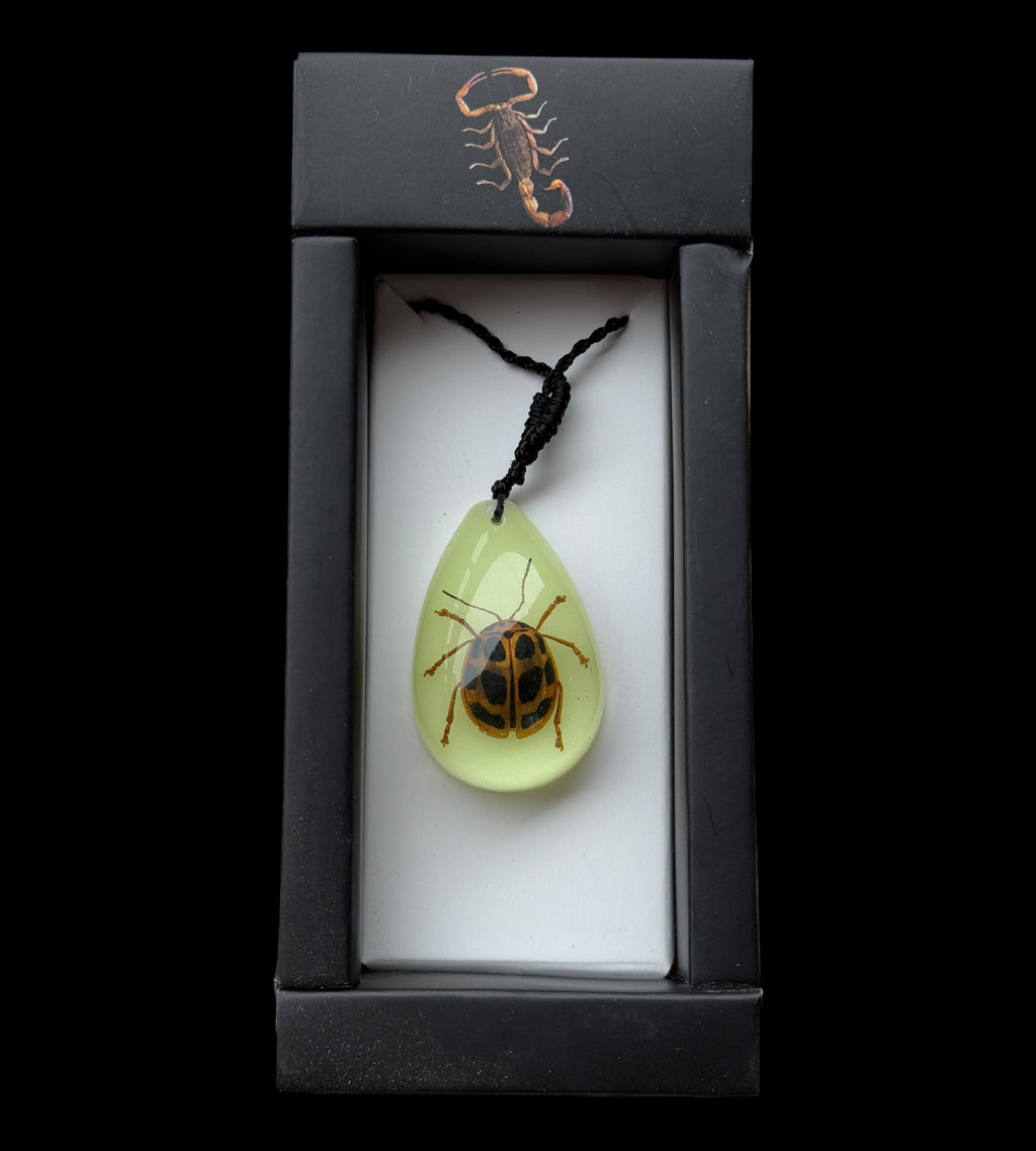 Spotted Leaf Beetle Glow Necklace