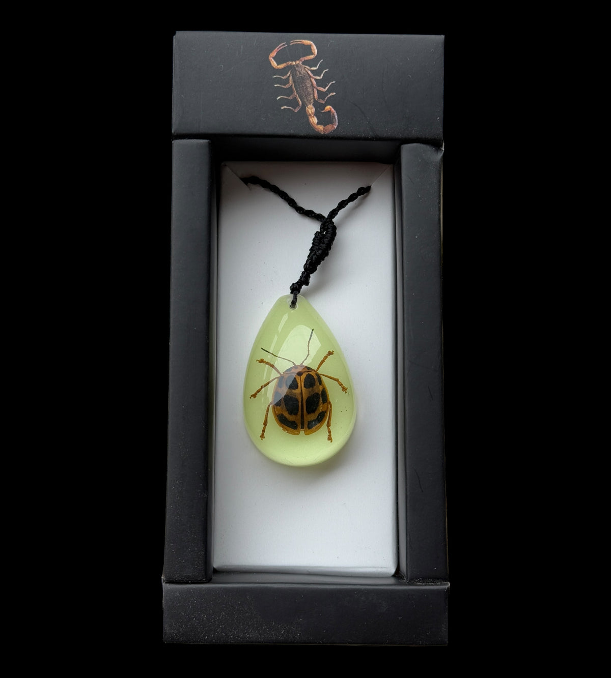 Spotted Leaf Beetle Glow Necklace