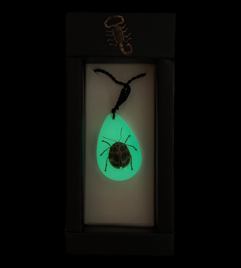 Spotted Leaf Beetle Glow Necklace
