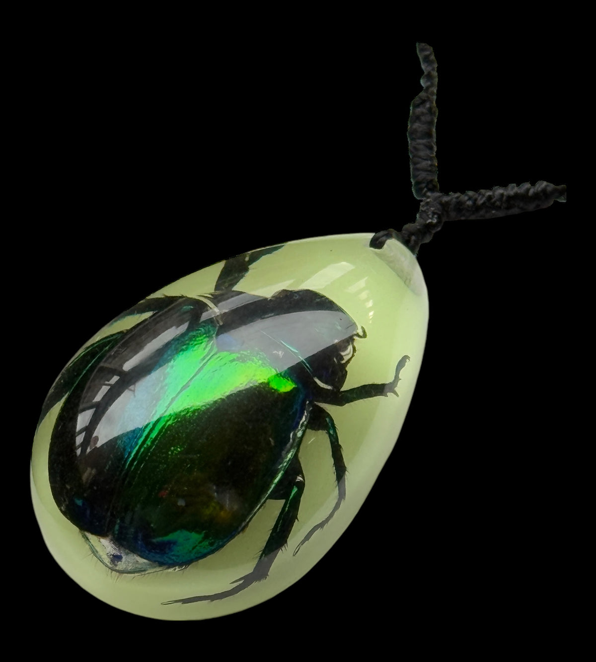 Rutelian Beetle Glow Necklace