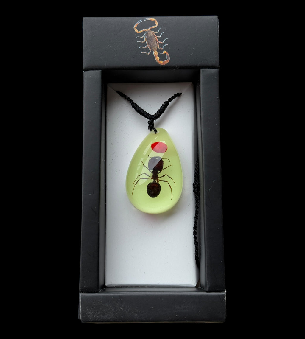Lucky Bean and Ant Glow Necklace