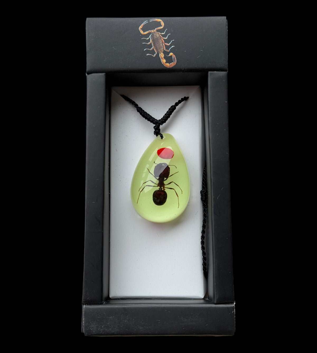 Lucky Bean and Ant Glow Necklace