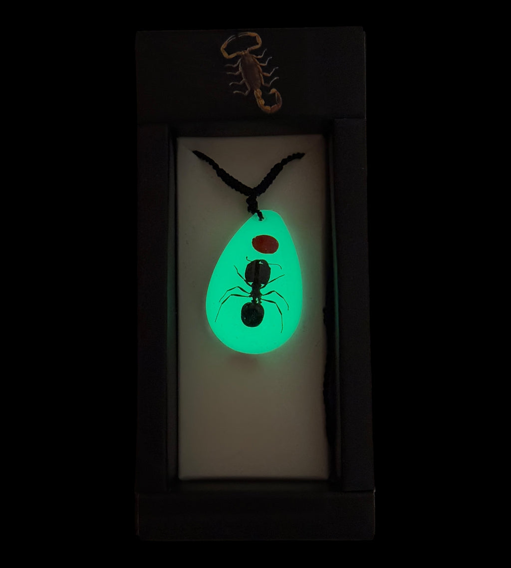 Lucky Bean and Ant Glow Necklace