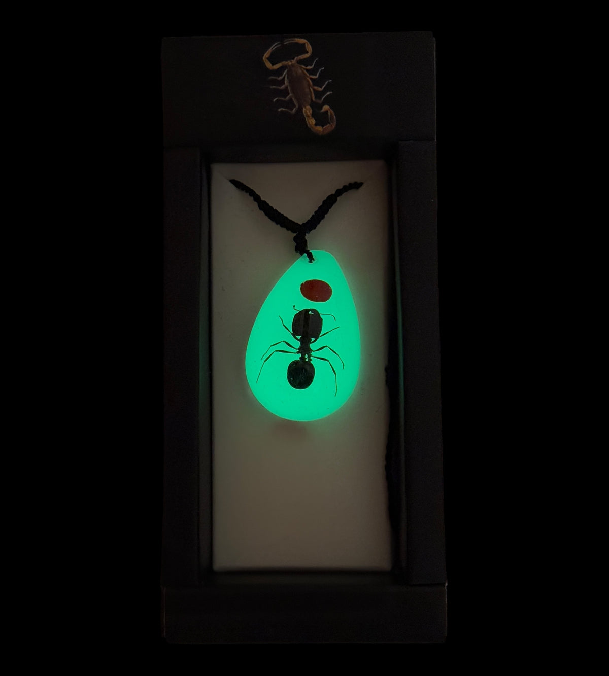 Lucky Bean and Ant Glow Necklace