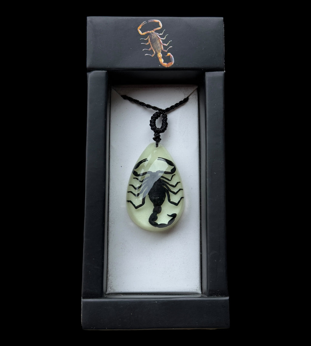 Black Scorpion Glow Necklace