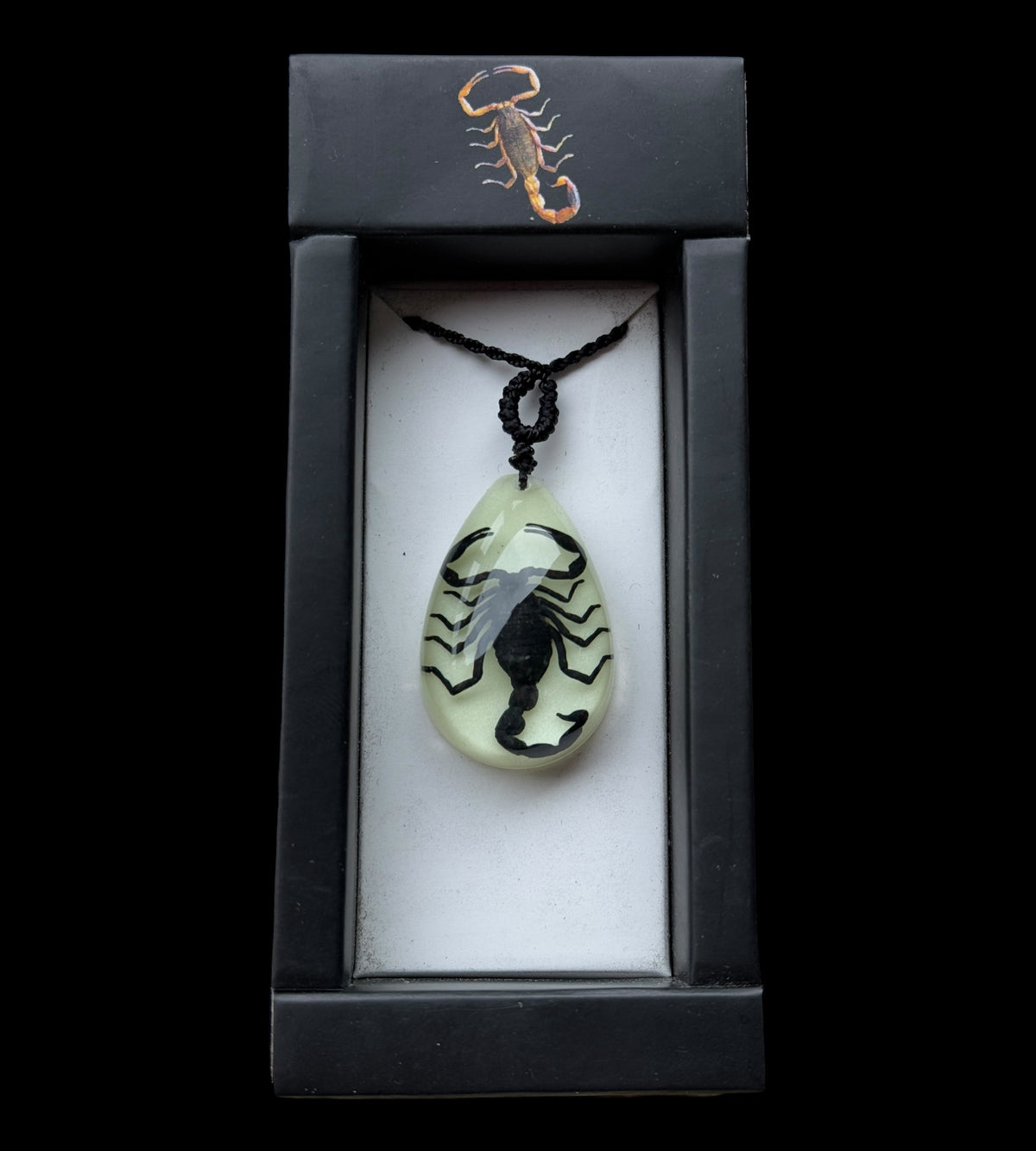 Black Scorpion Glow Necklace