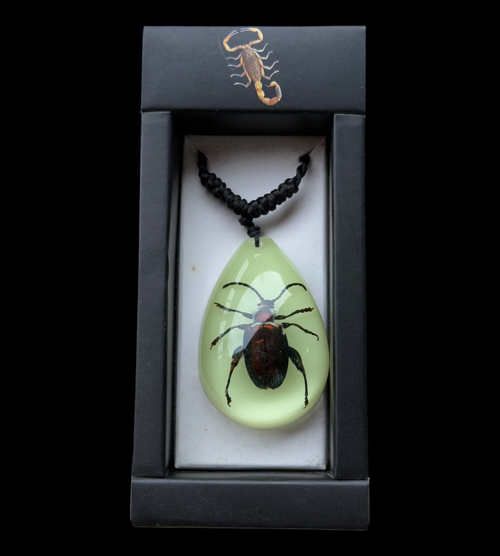 Jewel Frog Beetle Glow Necklace