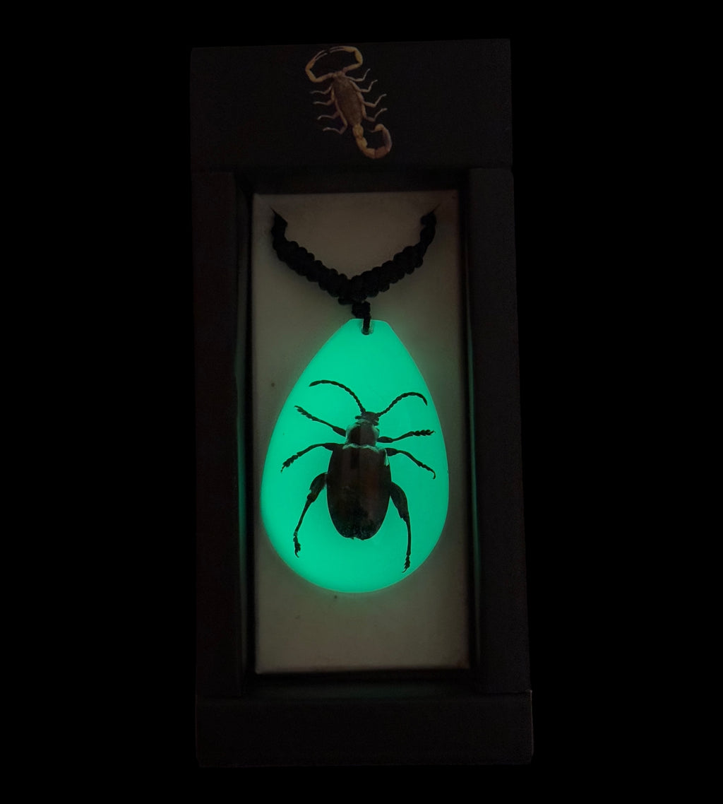 Jewel Frog Beetle Glow Necklace