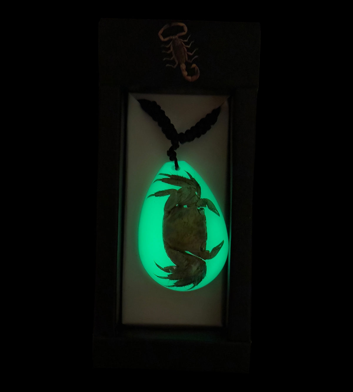 Crab Glow Necklace
