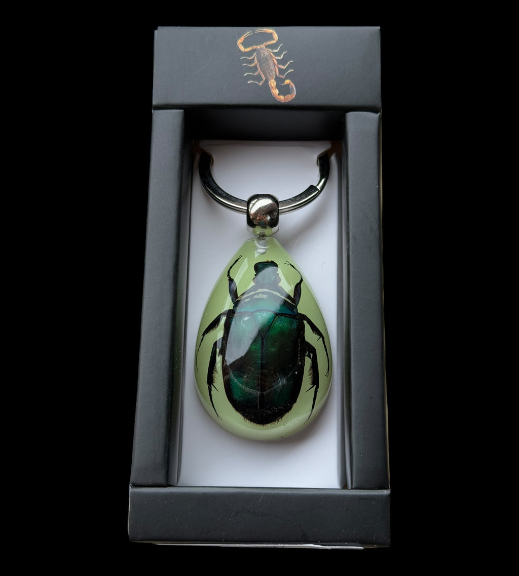 Green Rose Chafer Beetle Glow Keychain