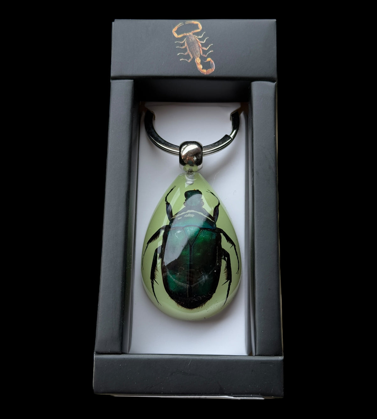 Green Rose Chafer Beetle Glow Keychain