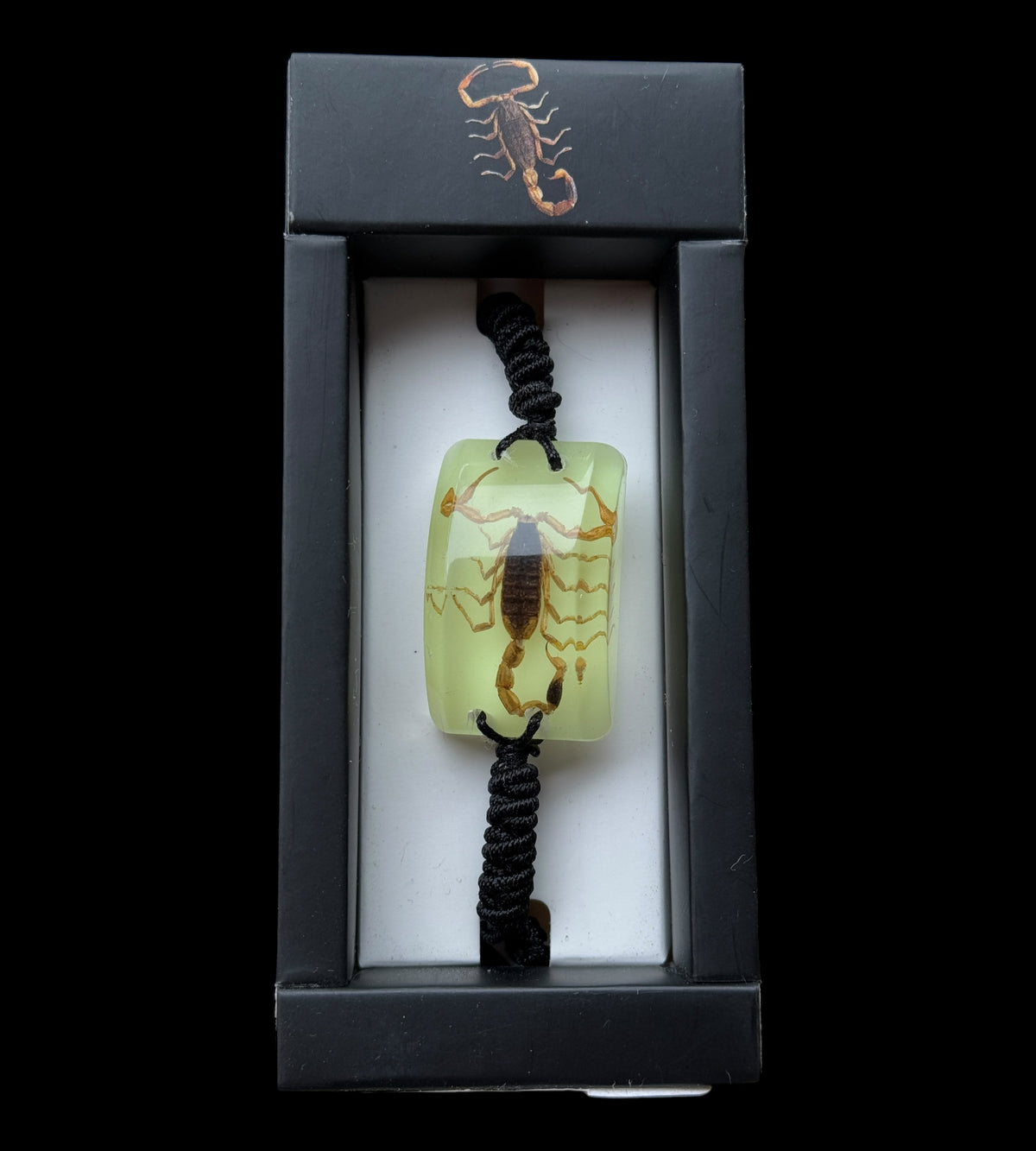Scorpion Glow Bracelet