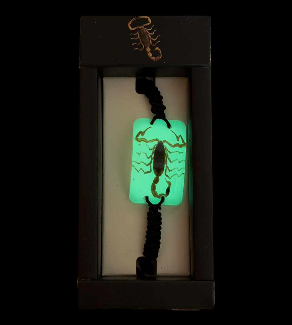 Scorpion Glow Bracelet