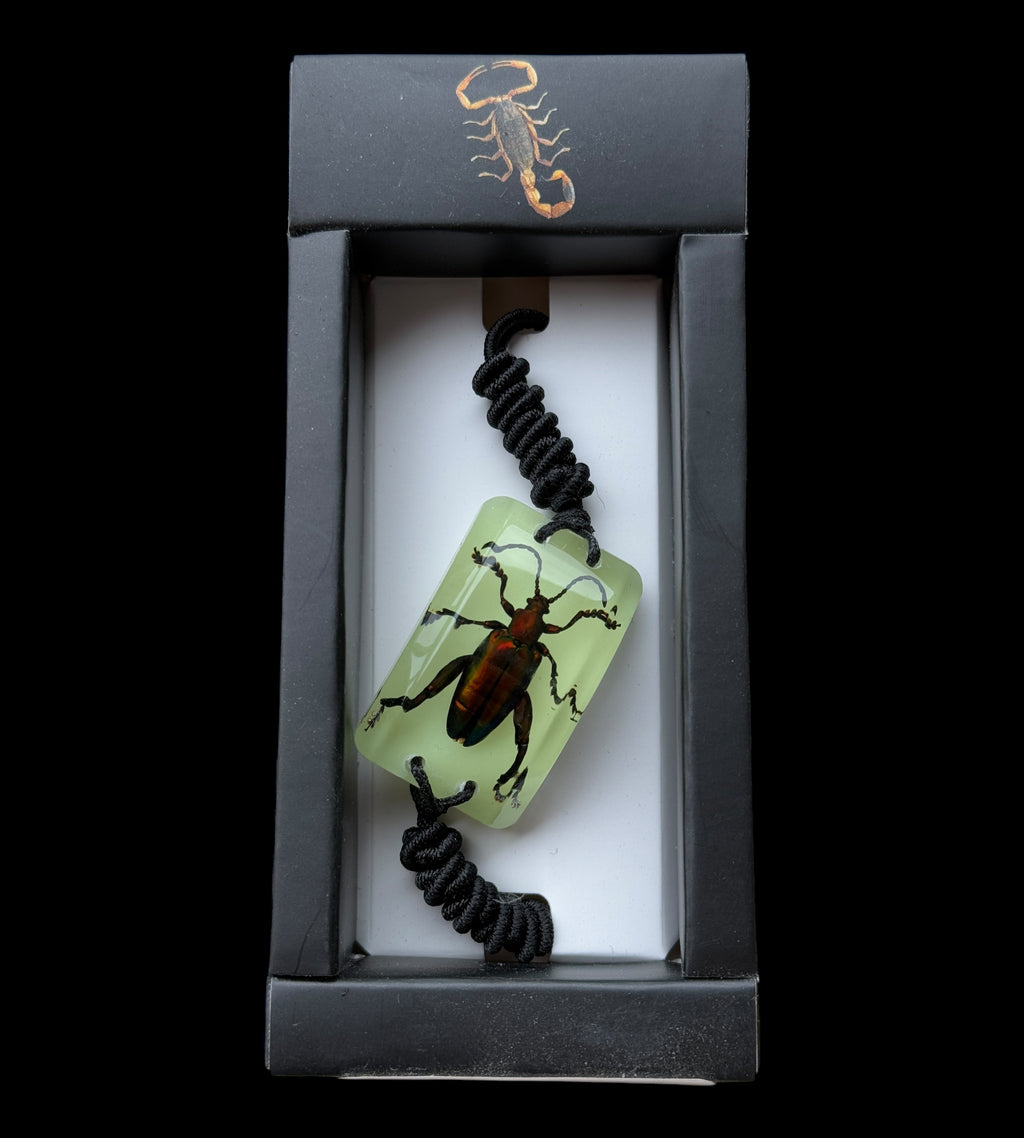Jewel Frog Beetle Glow Bracelet