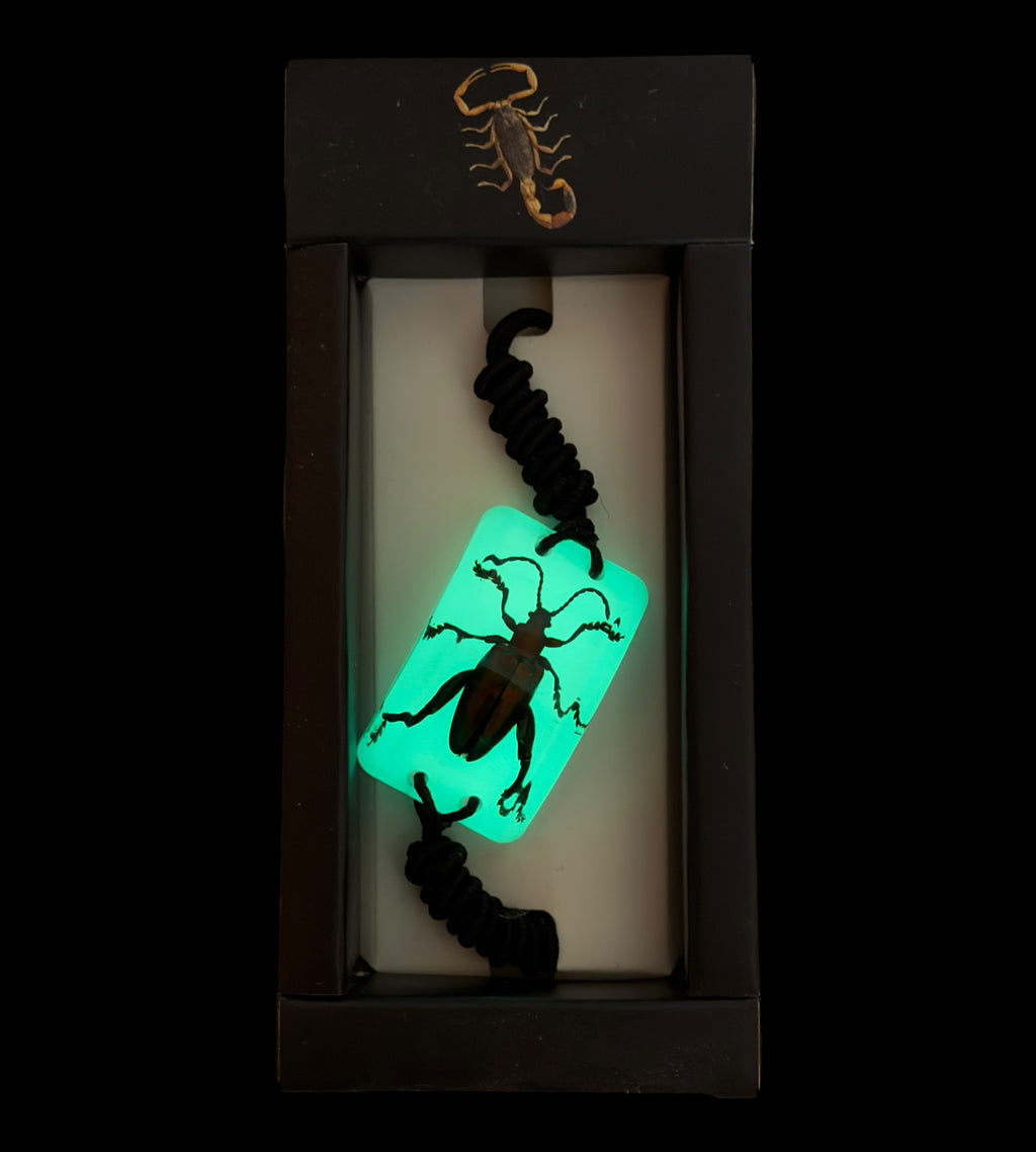 Jewel Frog Beetle Glow Bracelet