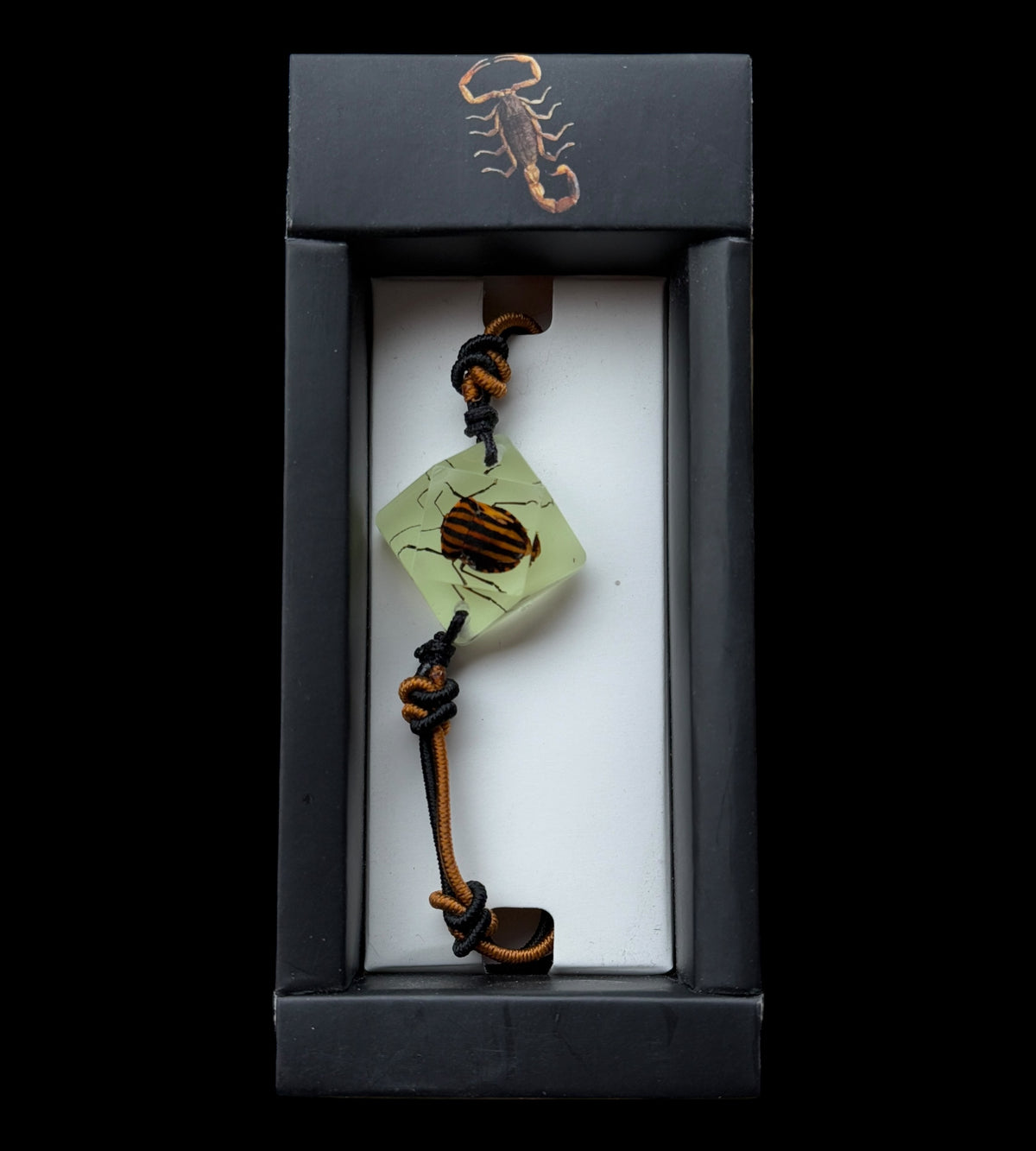 Red-Striped Stink Beetle Glow Bracelet