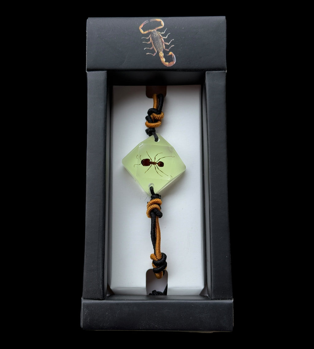 Ant Glow Bracelet